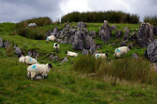 Ireland-Galaway & Mayo-Hiking - Connemara Western Way